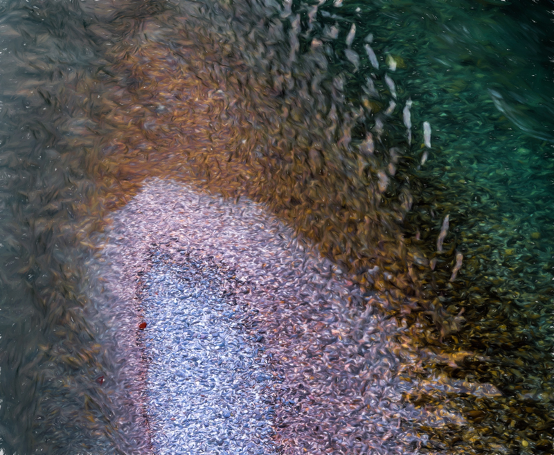 Separate and Together, from The Devil's Bridge, Chividale, Italy Canon EOS IDS Mark III 90mm T/S 1/8 sec f6.3 ISO 100 Painterly 1 75%