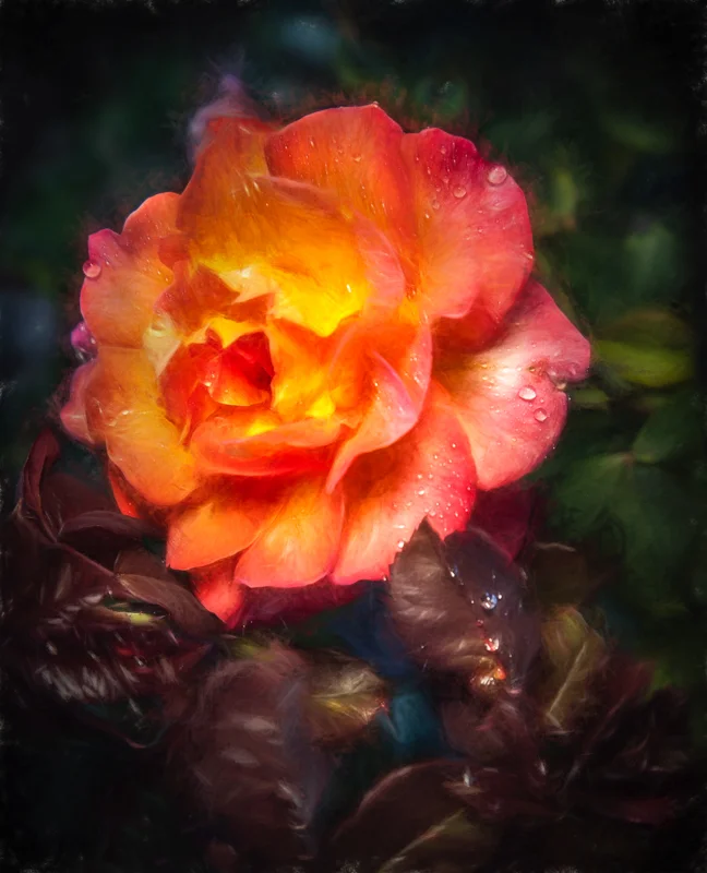 Smell the Roses