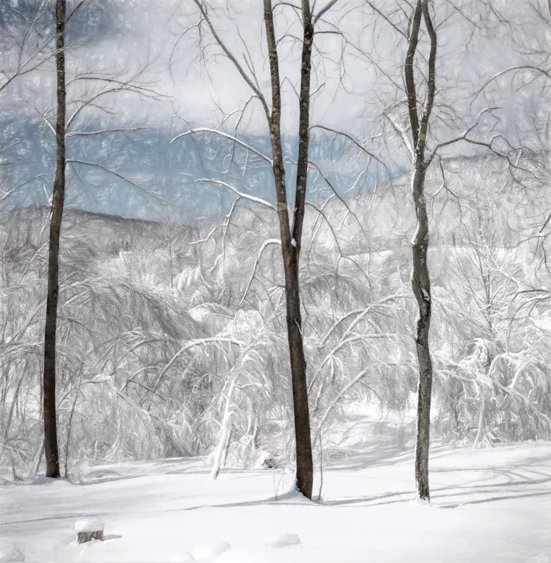 Winter Ash-.jpg
