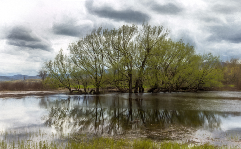 Spring Reflection PhaseOne IQ 180 80mm 1/80 sec f11 ISO 35