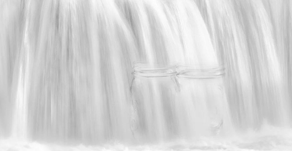 PRESERVE