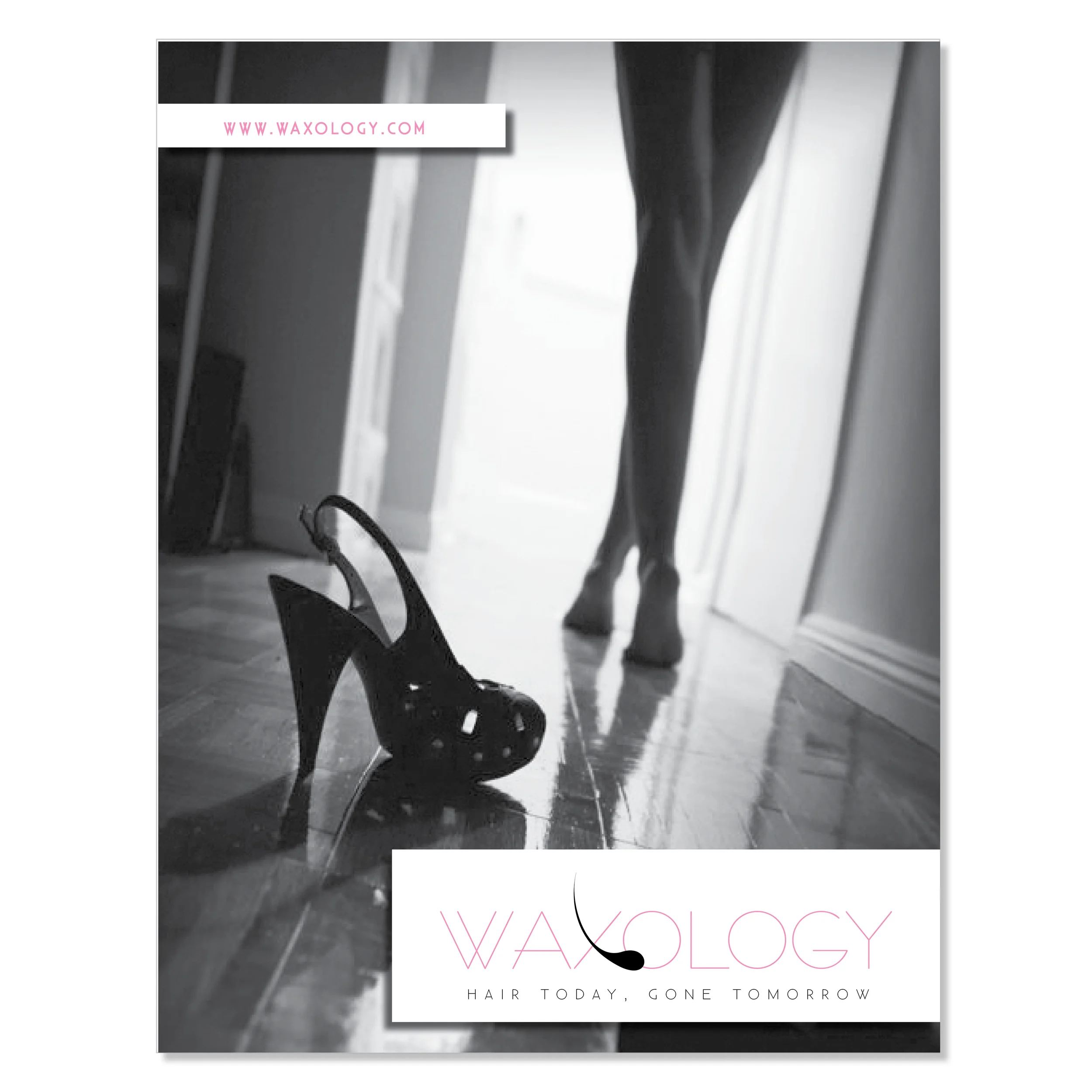 waxology IMAGES3.jpg