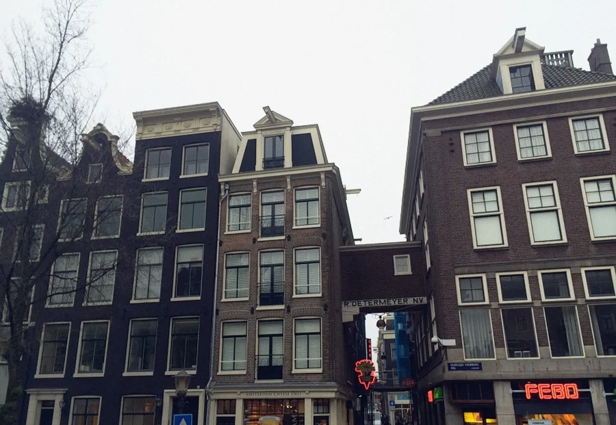 Febo.jpg