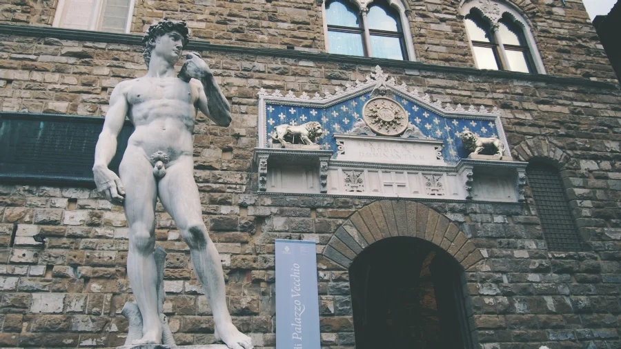 david 2.jpg