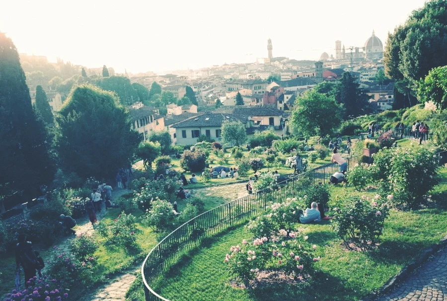 garden 1 .jpg