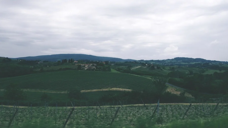 scenery tuscany .jpg