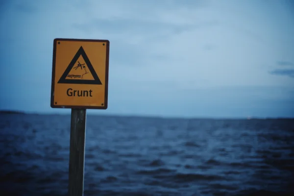 grunt.jpg