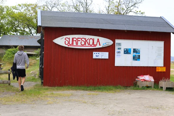 surf.jpg
