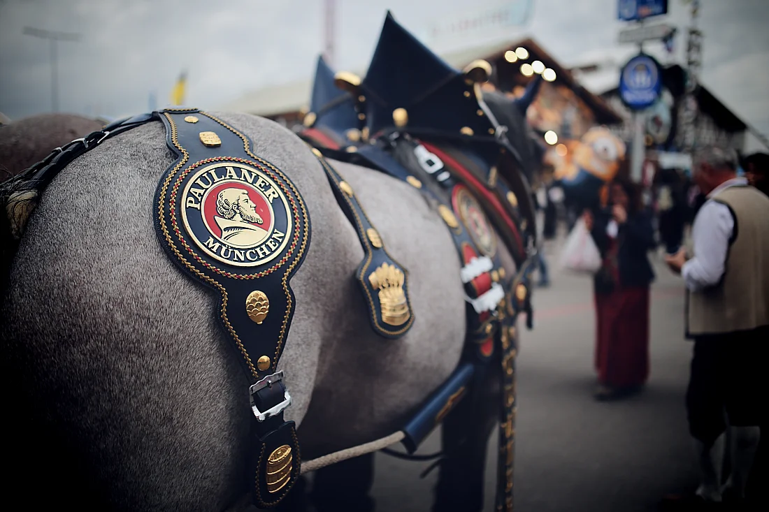 munich horse .jpg