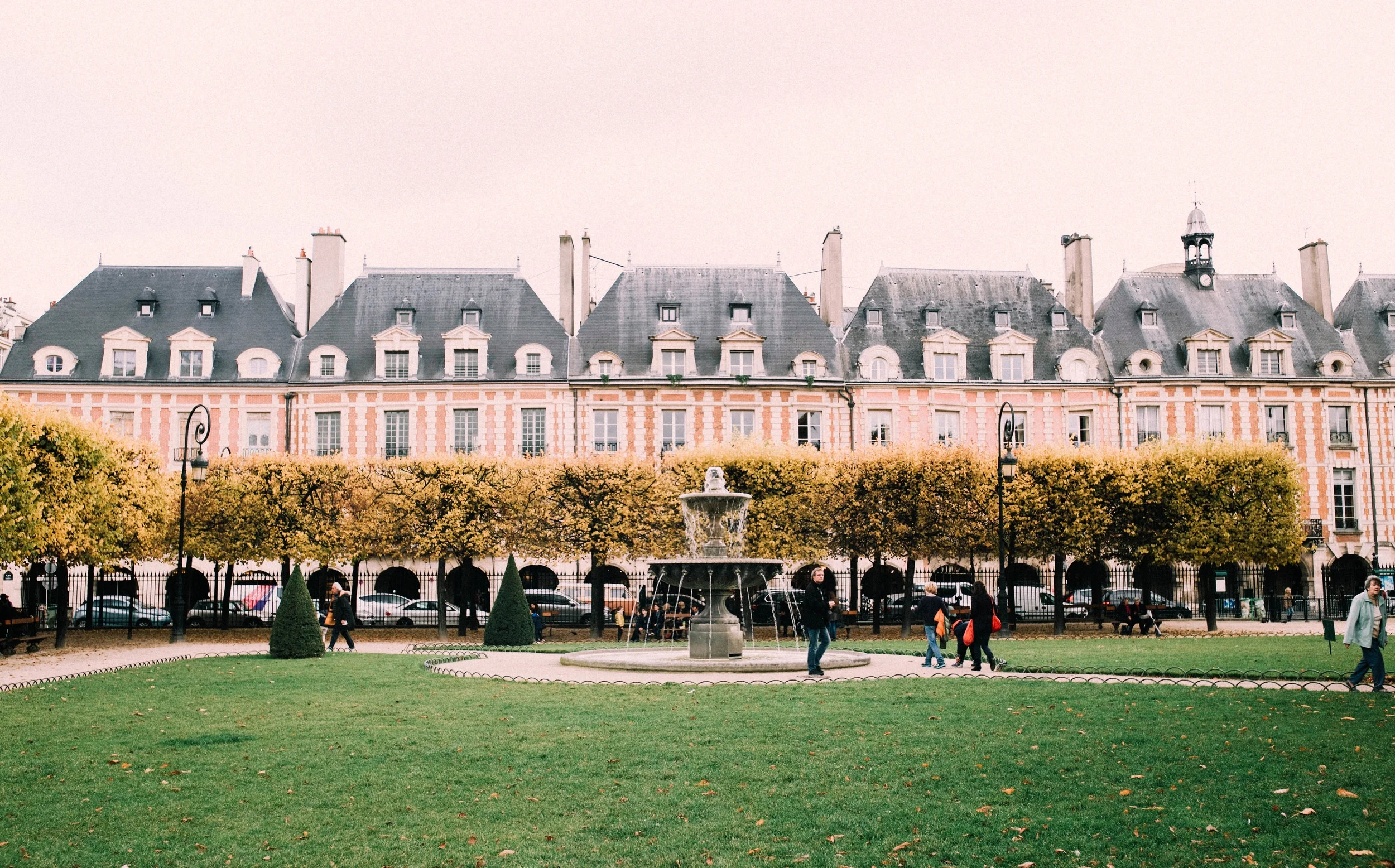 jardin (1 of 1).jpg