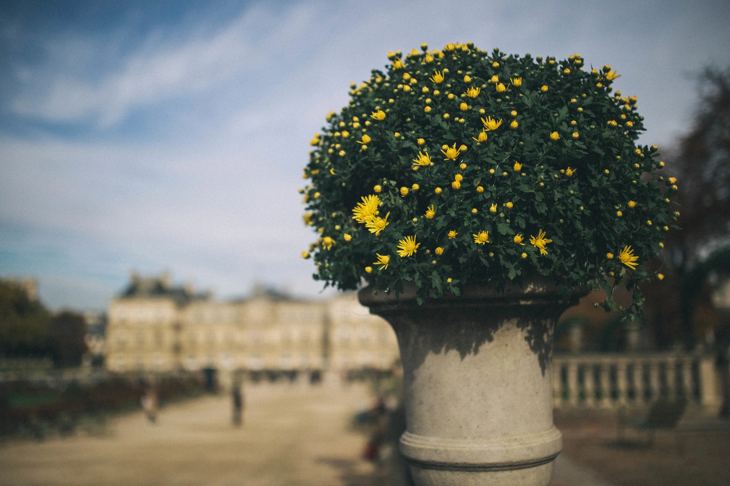jardin1 (1 of 1).jpg