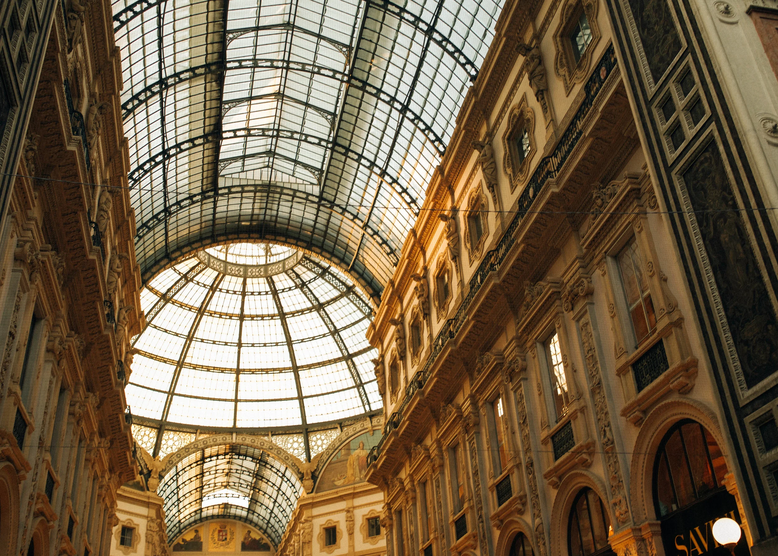 milan (1 of 1).jpg