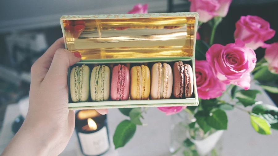 Macaroon Morning 