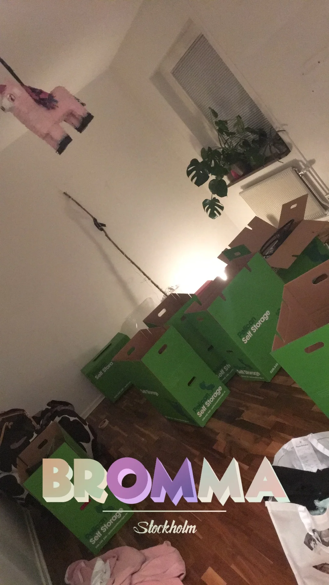 Life in boxes plus a unicorn piñata