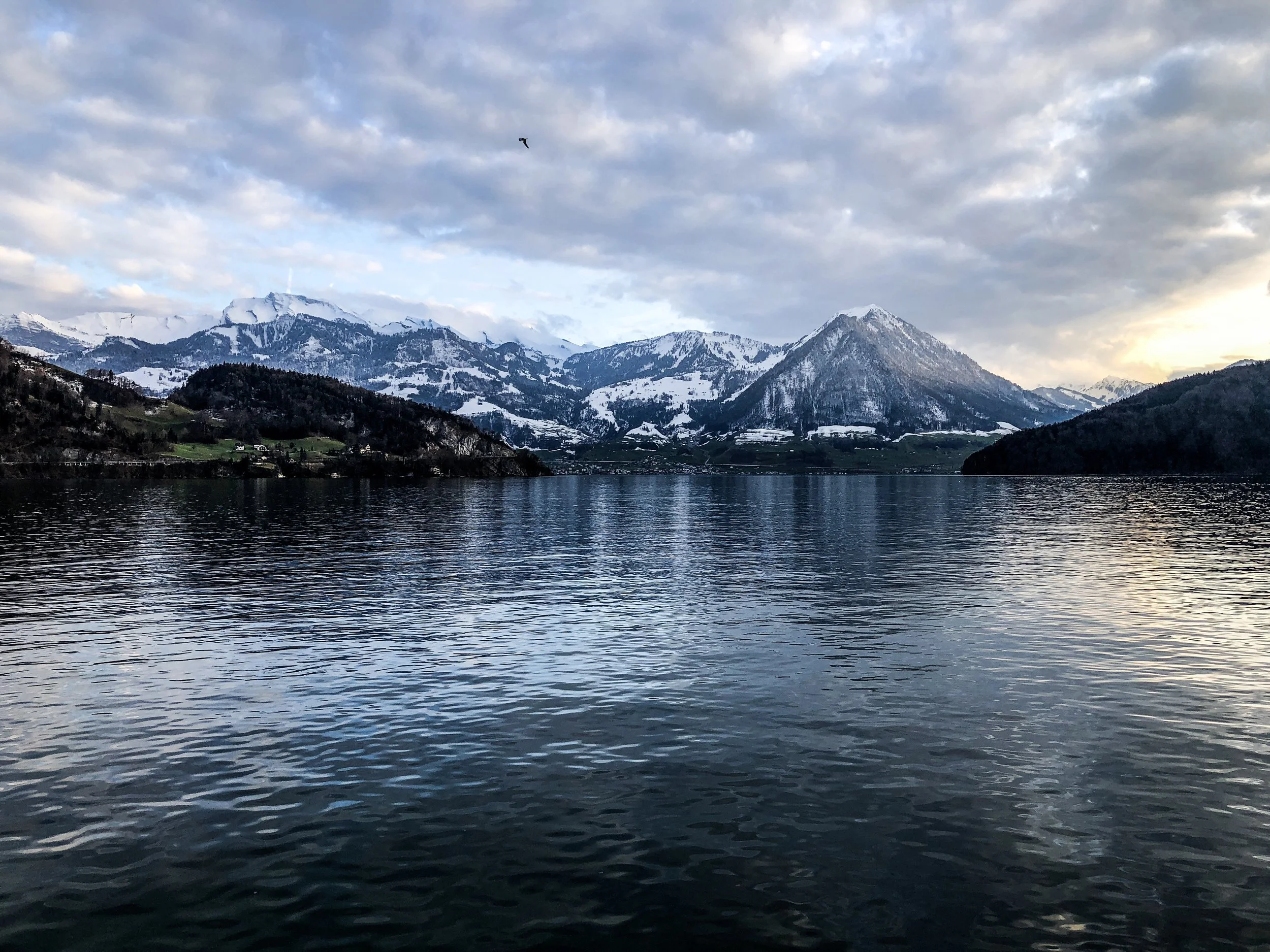 IMG_3067.JPG