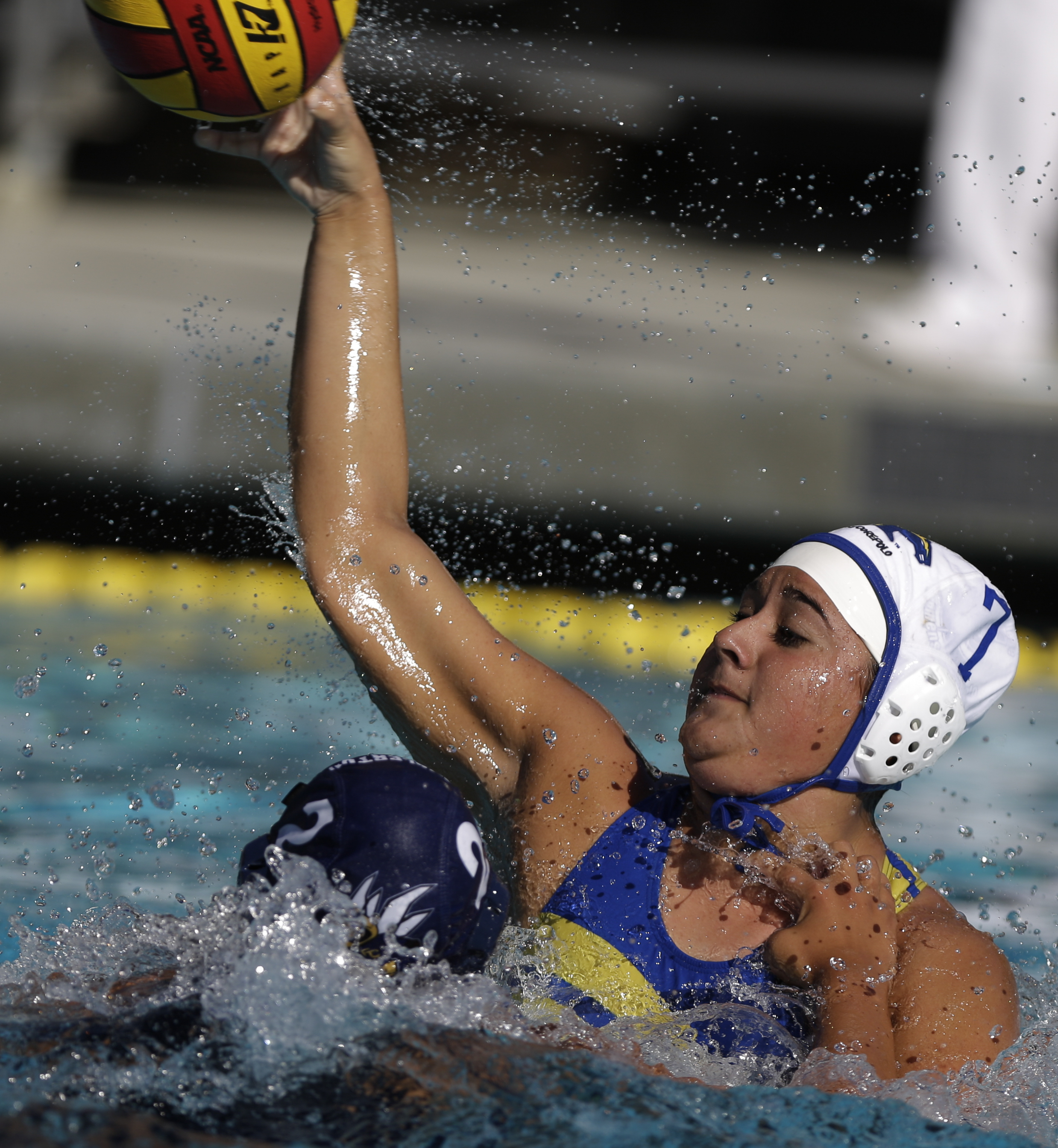 11-3-16-WaterPolo_C-292.jpg