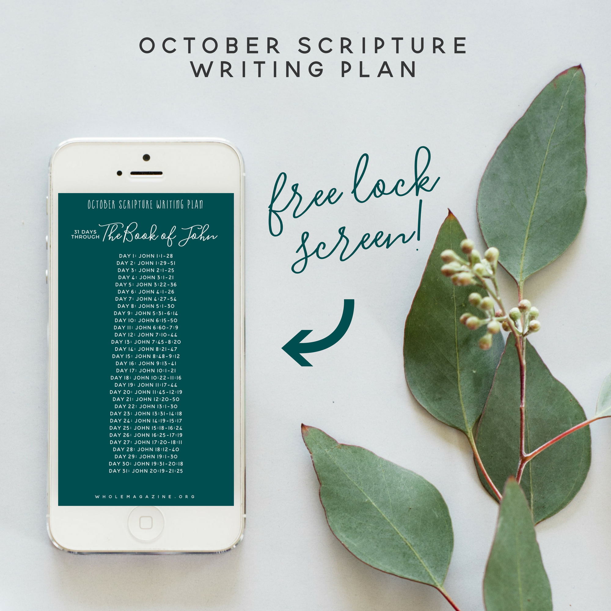 Phone lock screen available ONLY in the Resource Library