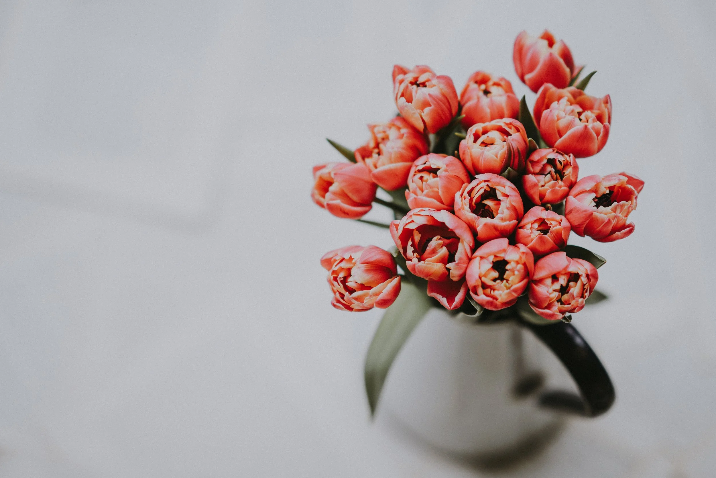 nicholas-green-549967-unsplash.jpg