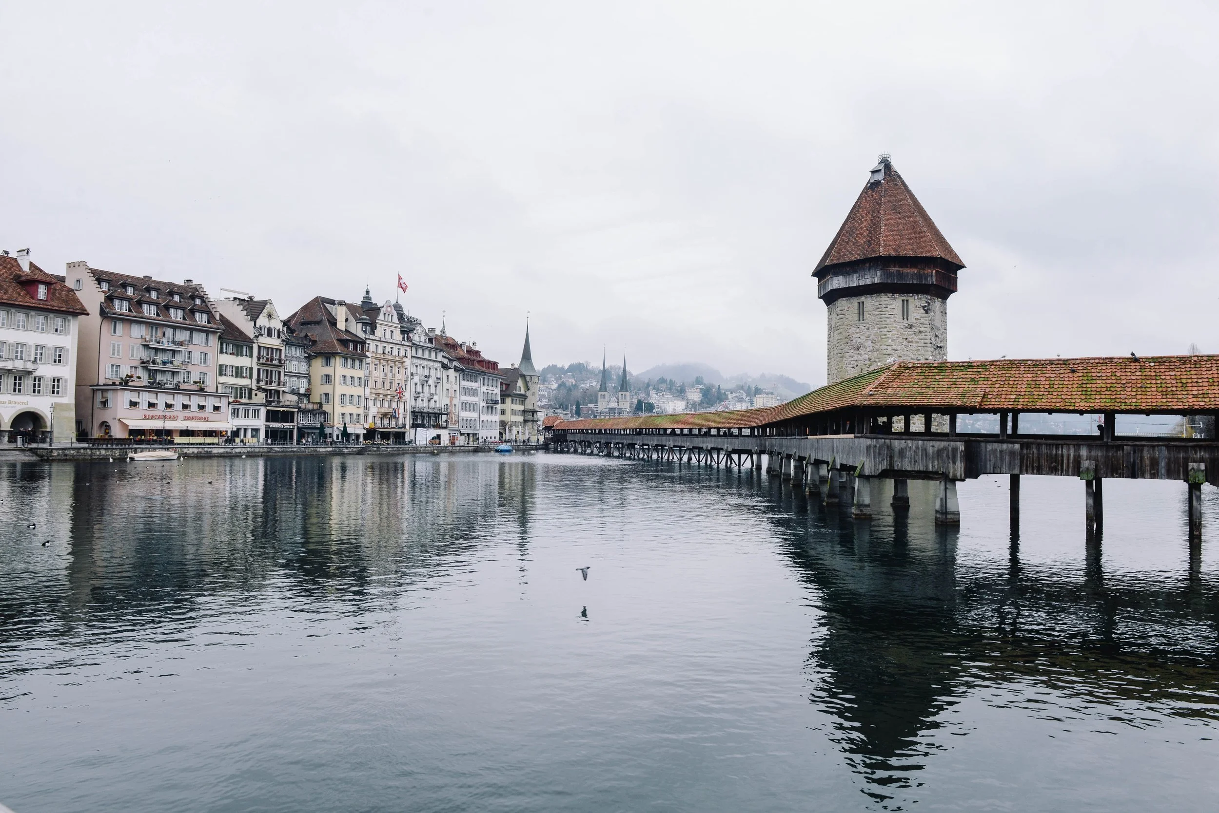 tamara-menzi-58747-unsplash.jpg