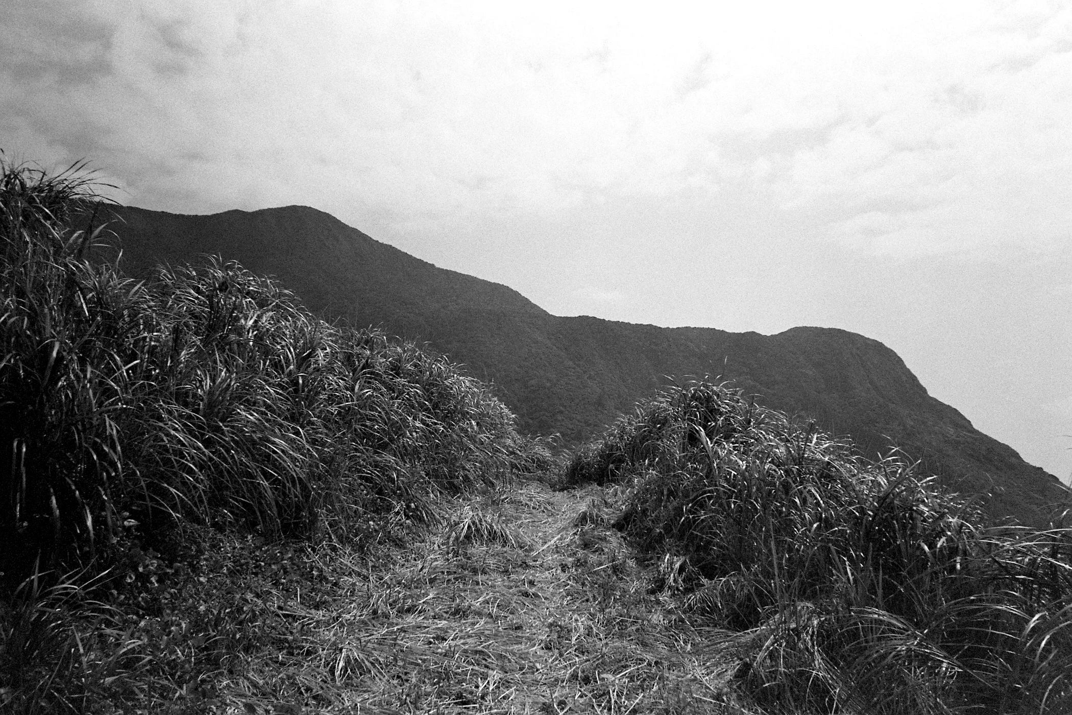 Negative0-25-13(1)-1.jpg