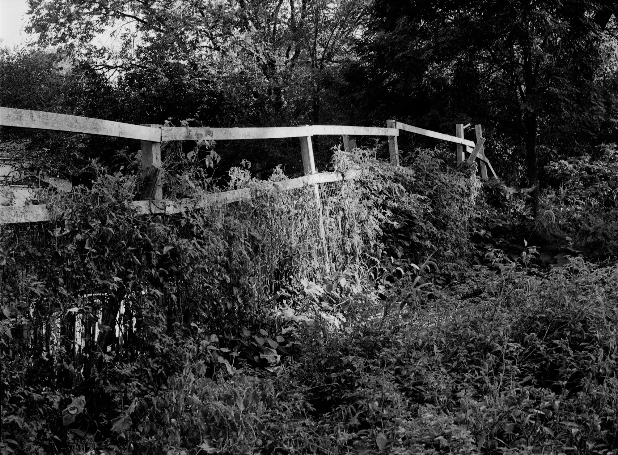 garfield farm_01.jpg