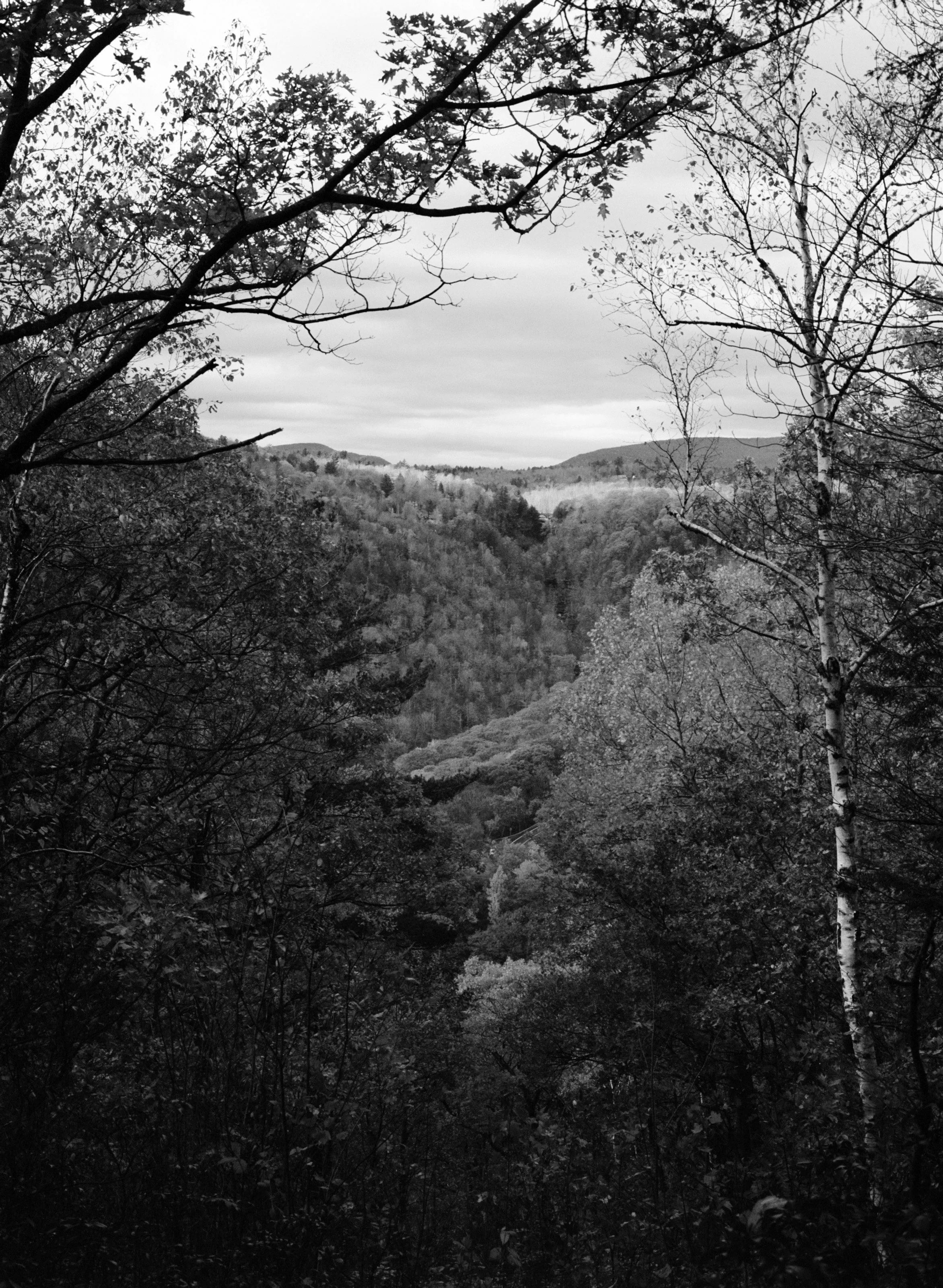 hudson valley_01_bw.jpg