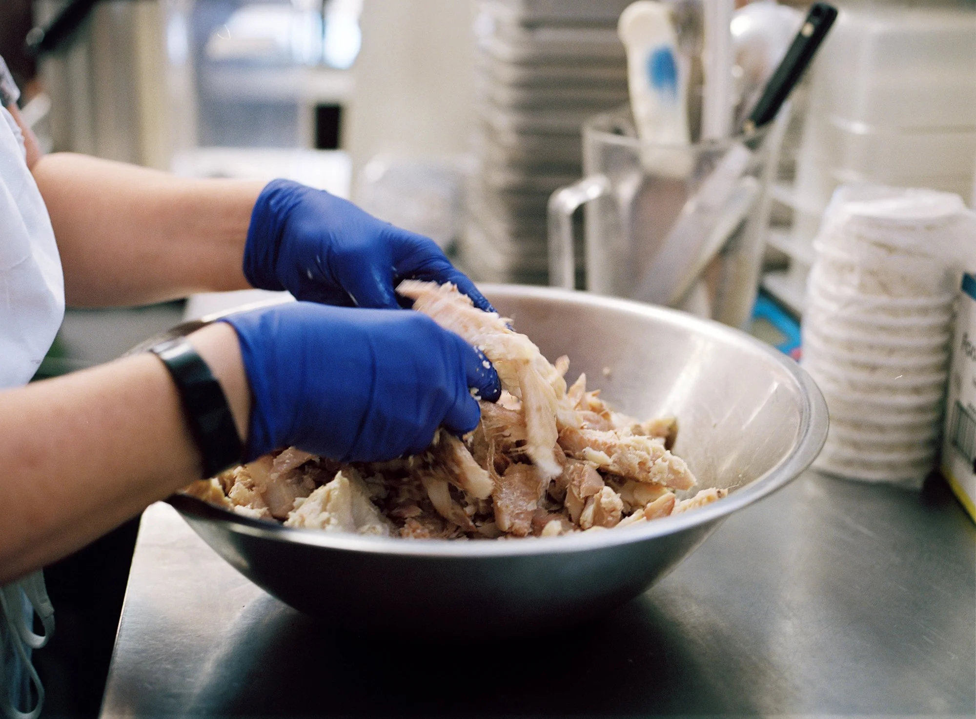 whitefish02 copy.jpg