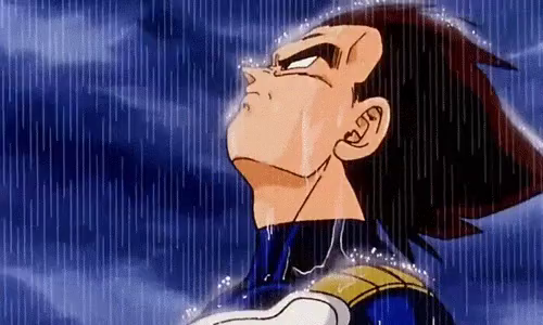 VEGETA_RAIN.JPG