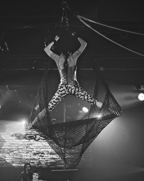 Aerial Acts — Volary Aerial Burlesque