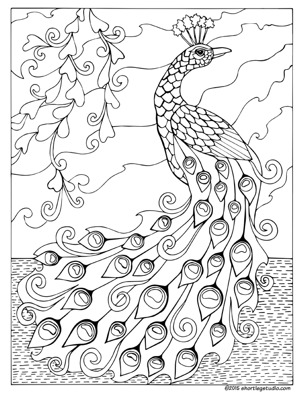 Peacock Coloring Page