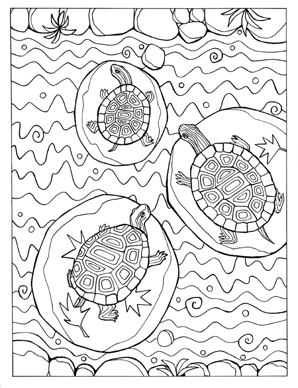 Turtle Trio