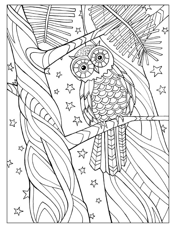 Owl with Stars