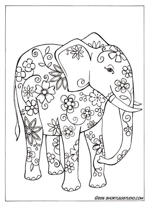 flora and fauna coloring sheets — short leg studio