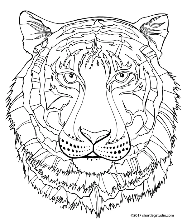New Tiger Coloring Sheets — Short Leg Studio