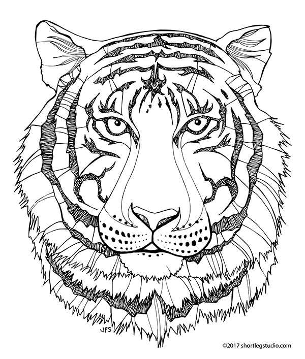 New Tiger Coloring Sheets — Short Leg Studio