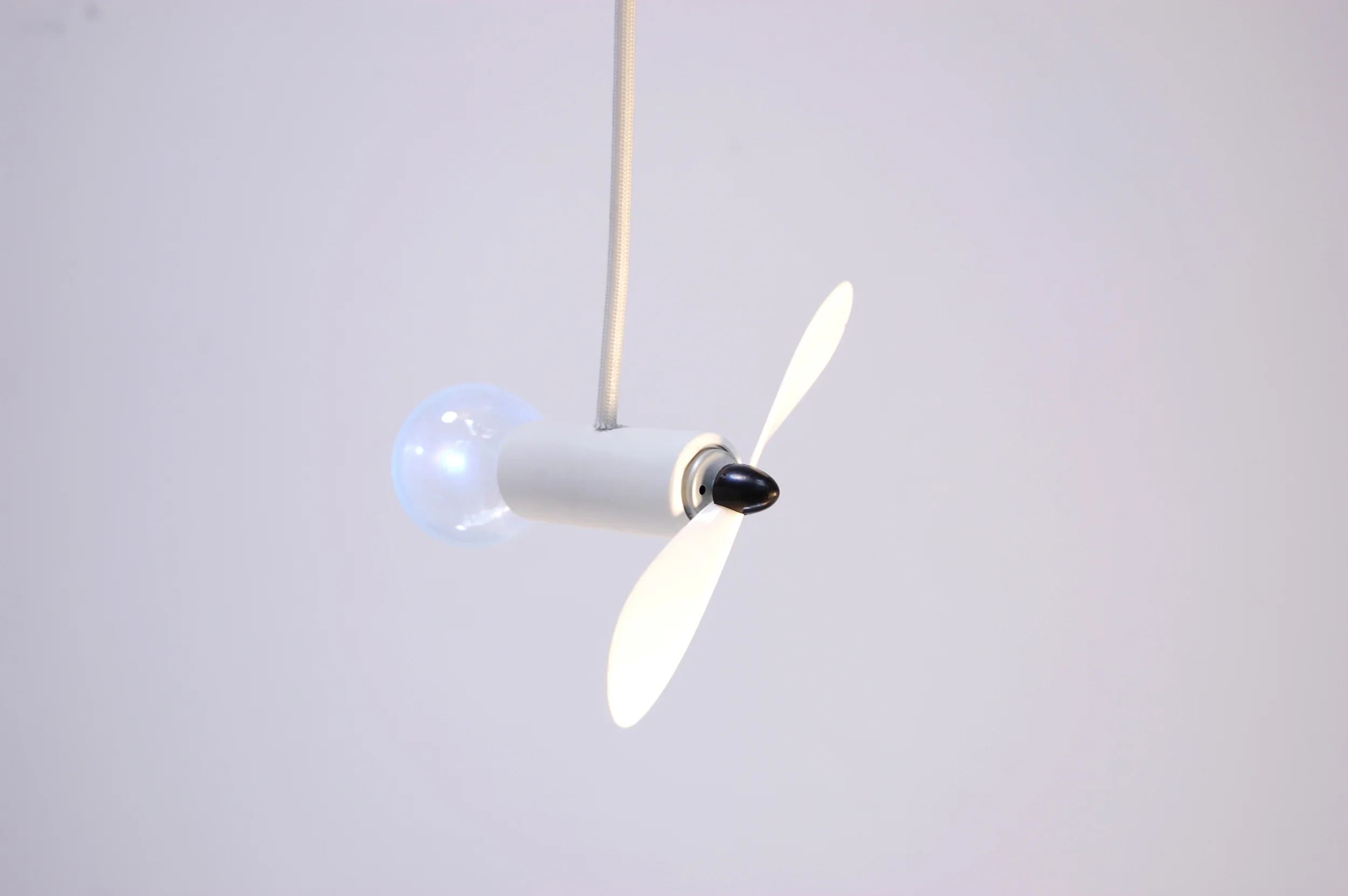 lighting bug3.jpg