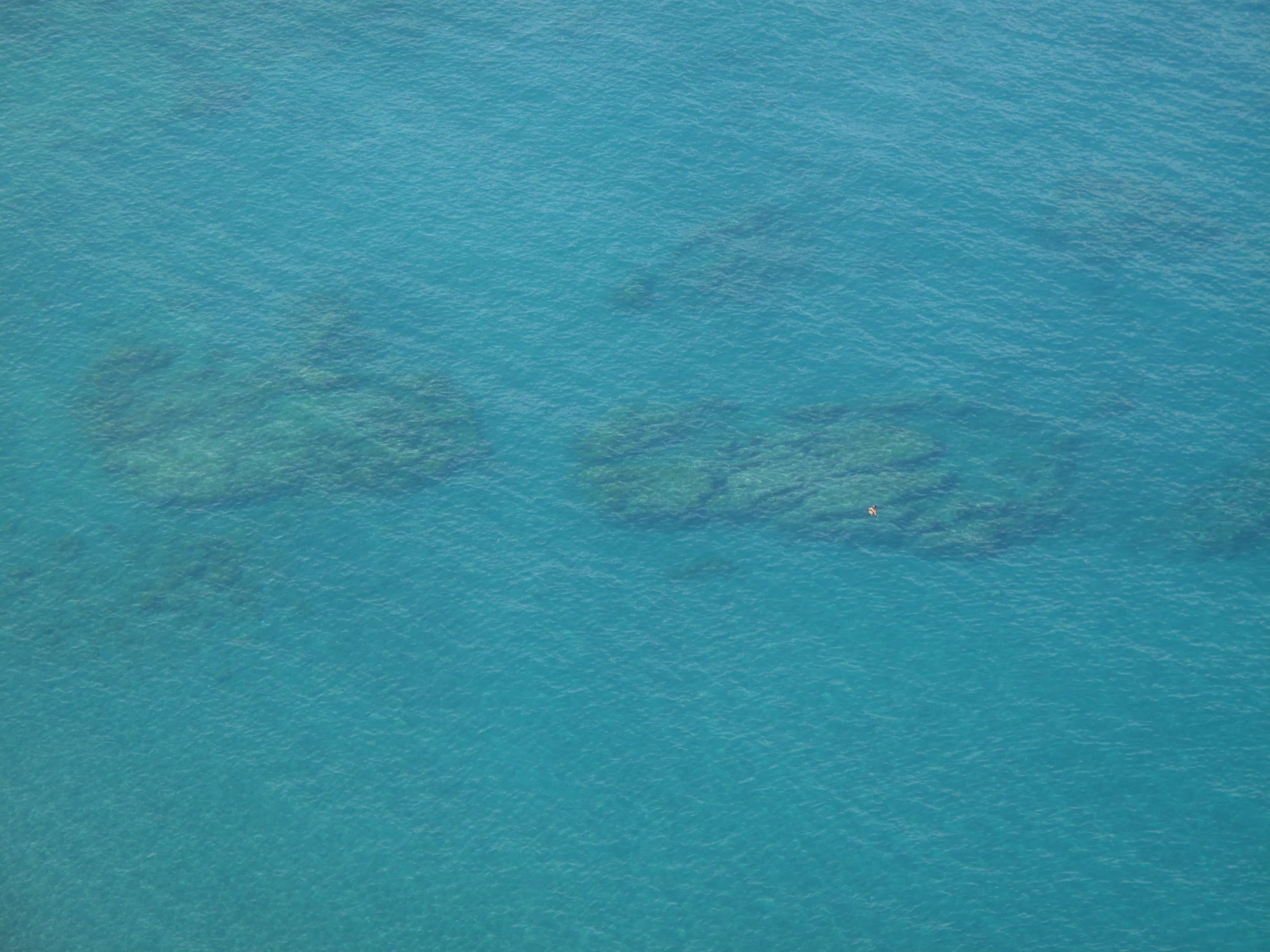 Sorrento Swimmer.JPG