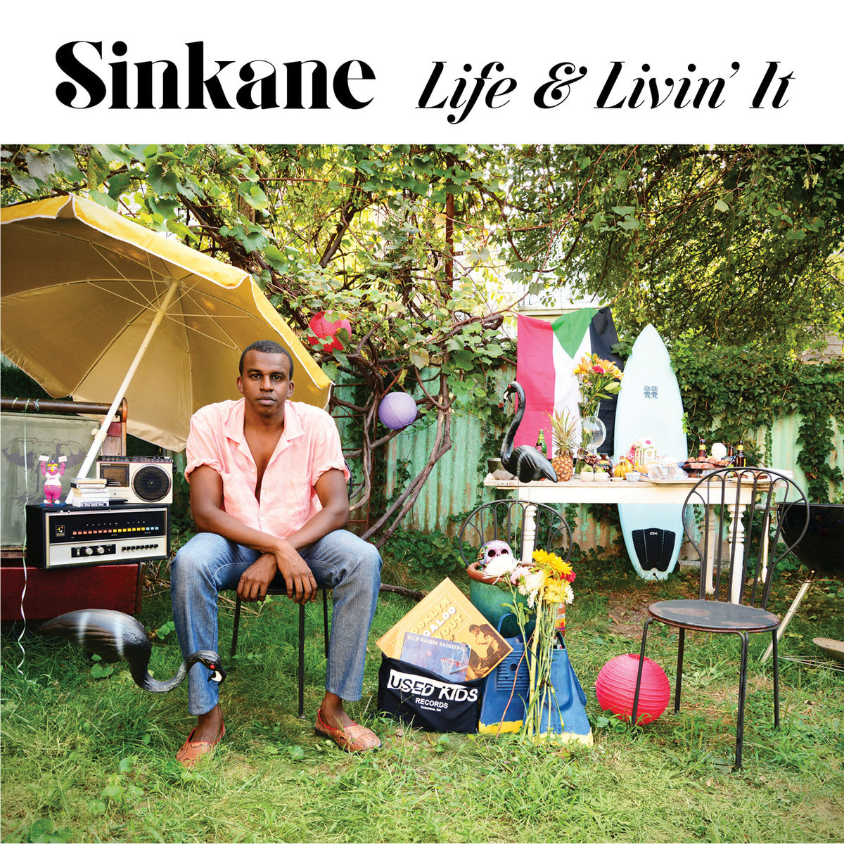 sinkane life and livin it.jpg