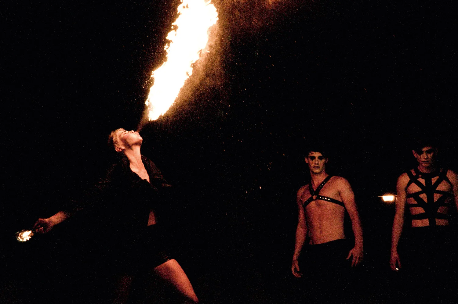 CIRCUS CROWS11.jpg