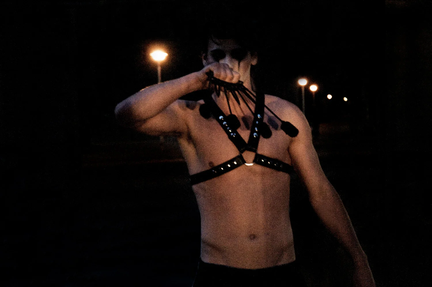CIRCUS CROWS24.jpg