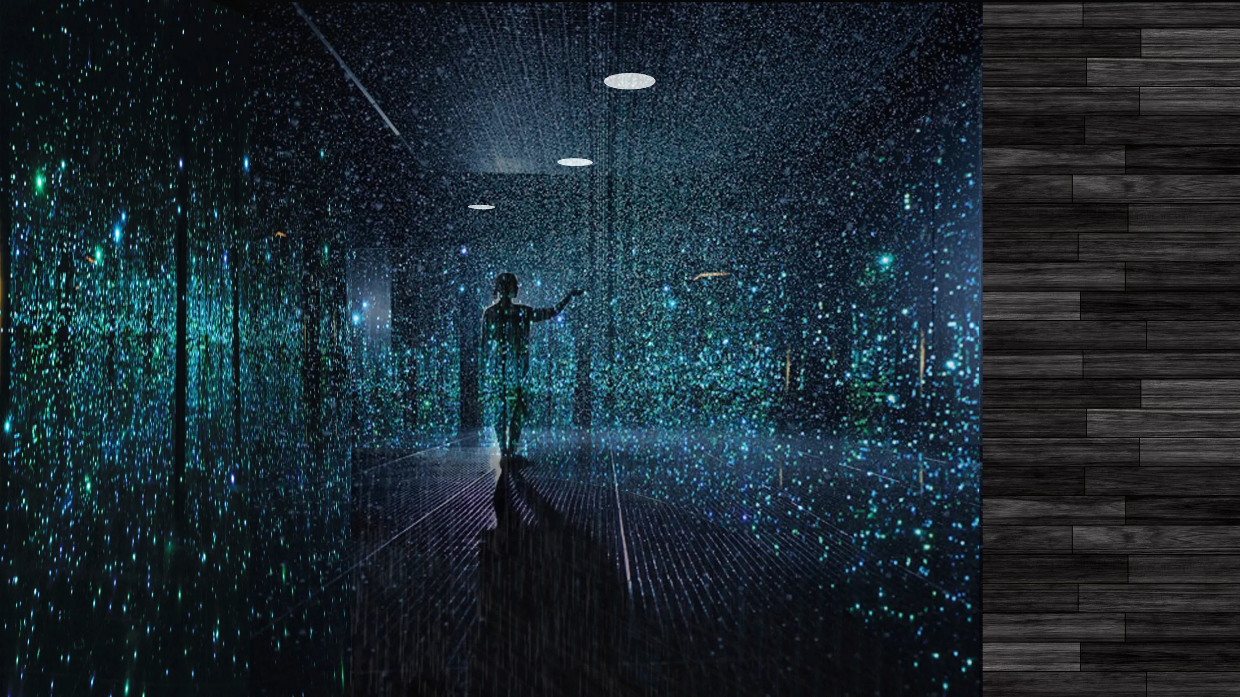 Rain Room High Quality Rendering.jpg