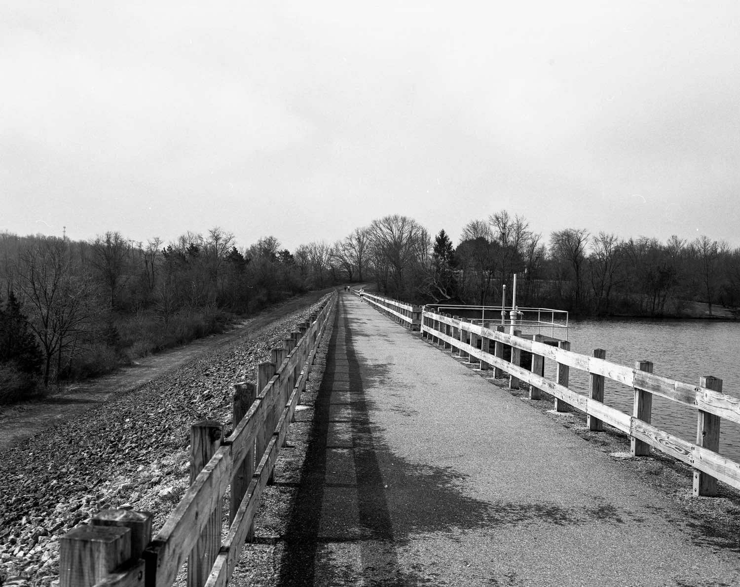 img789.jpg