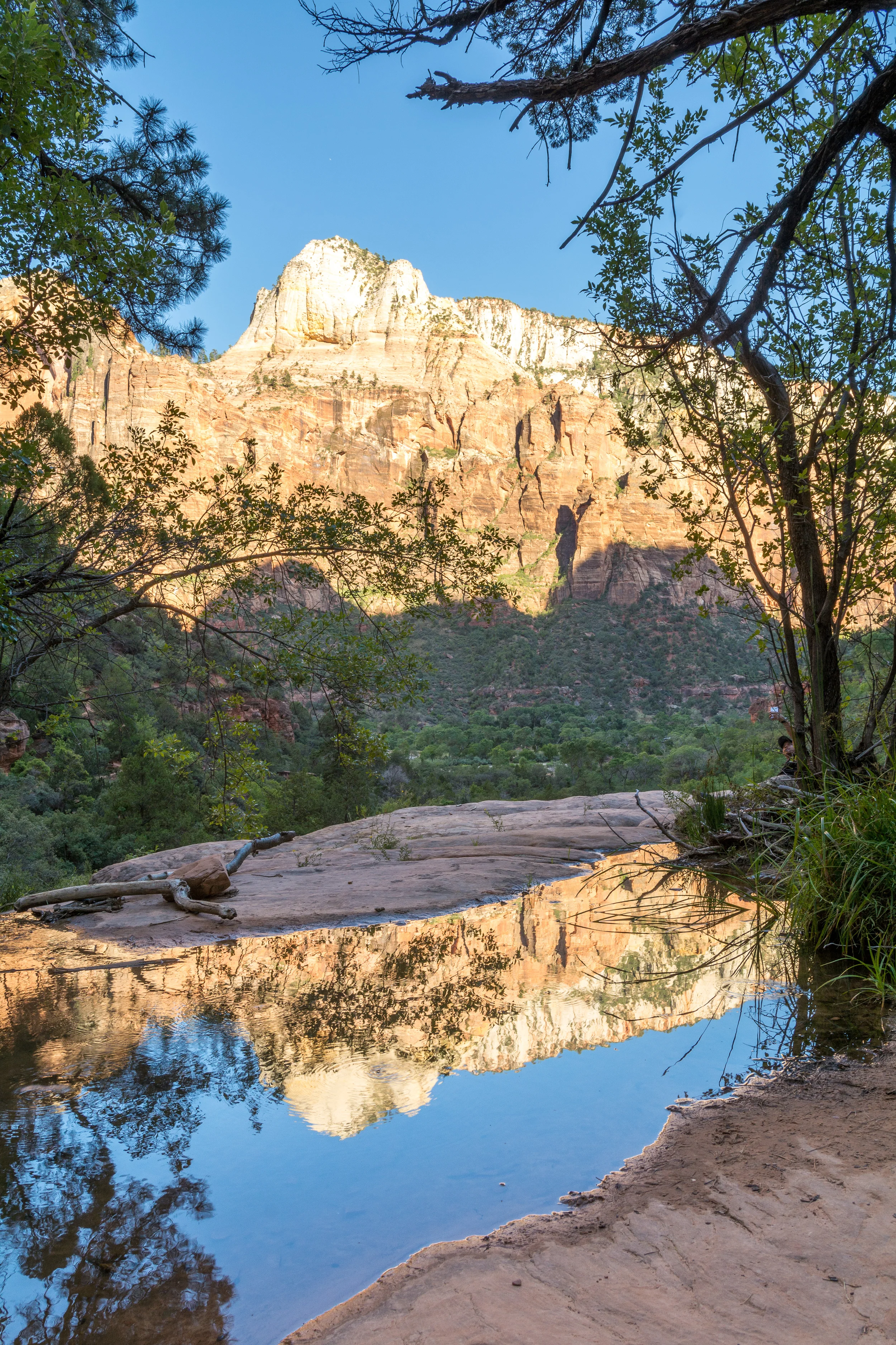 Zion Reflection