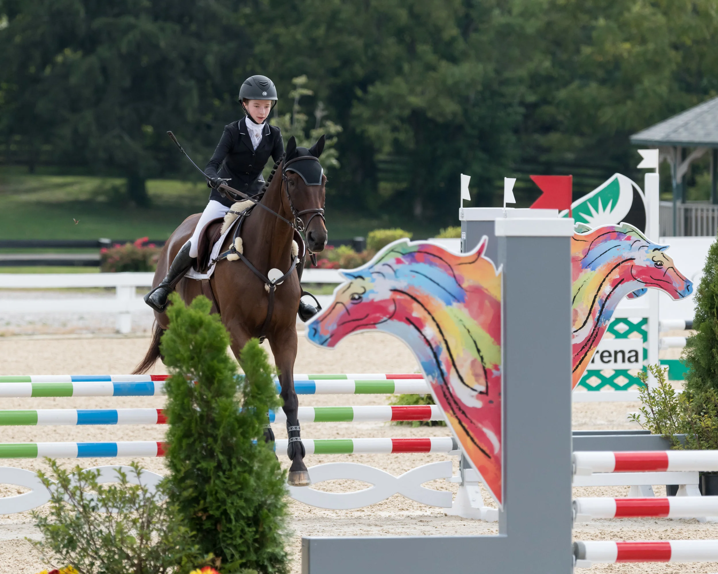 20190831_(c)Greg Walker_8501444.jpg