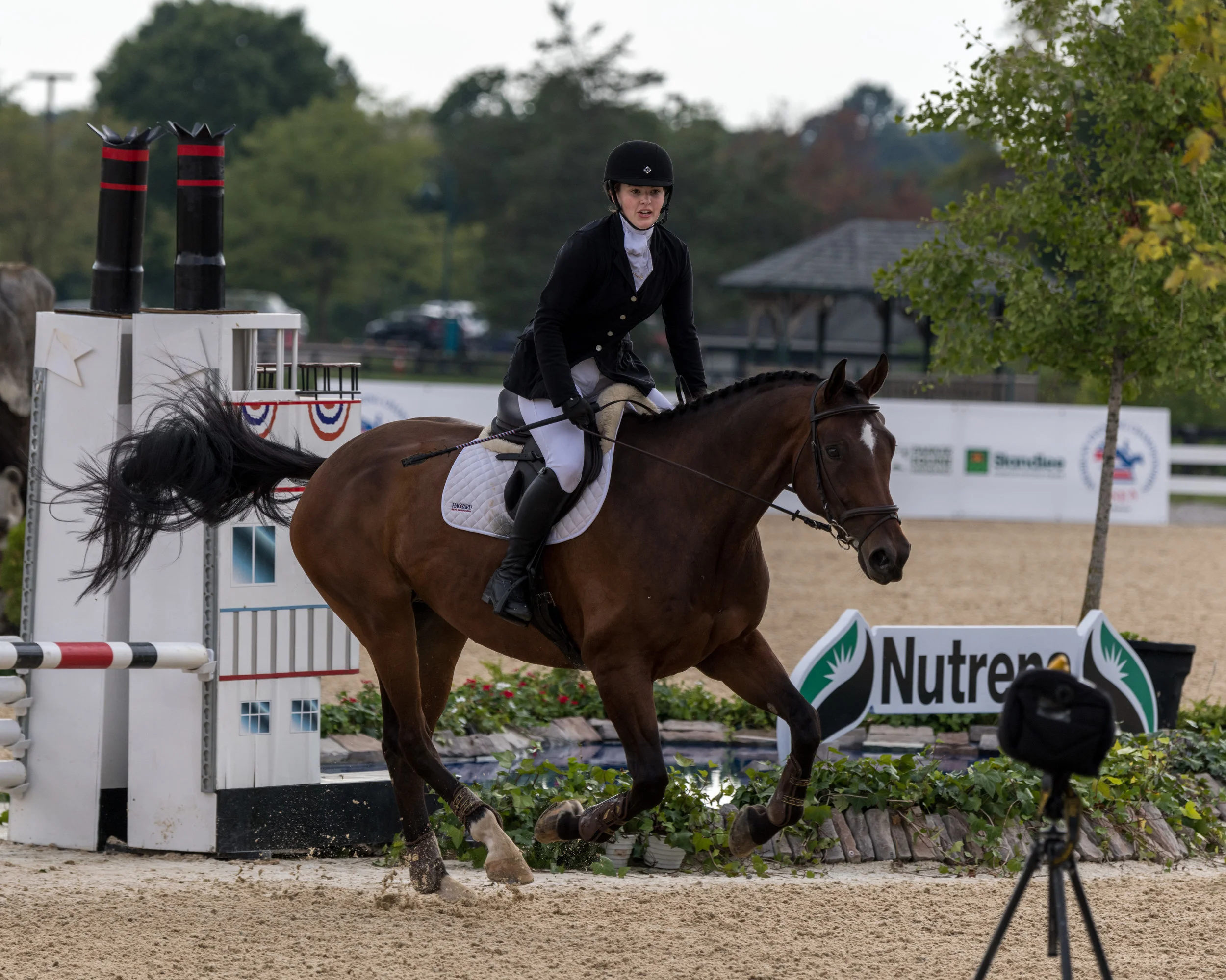 20190901_(c)Greg Walker_8501710.jpg