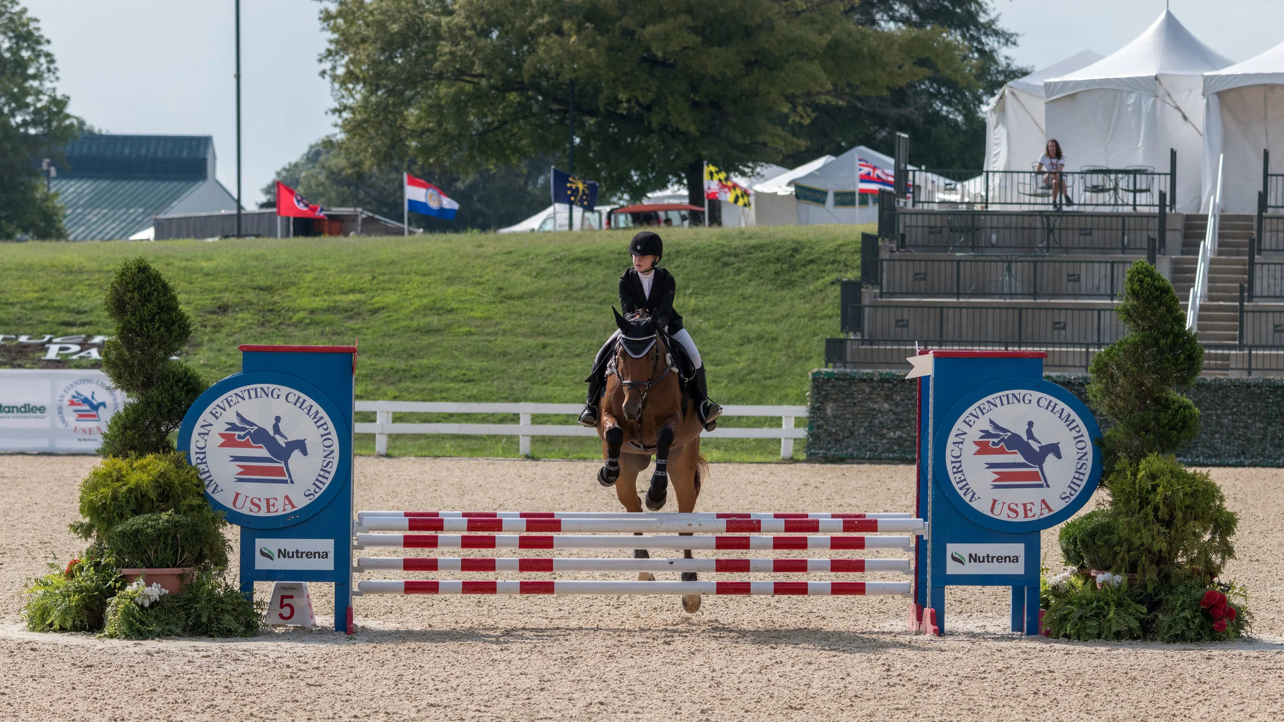 20190901_(c)Greg Walker_8501792.jpg