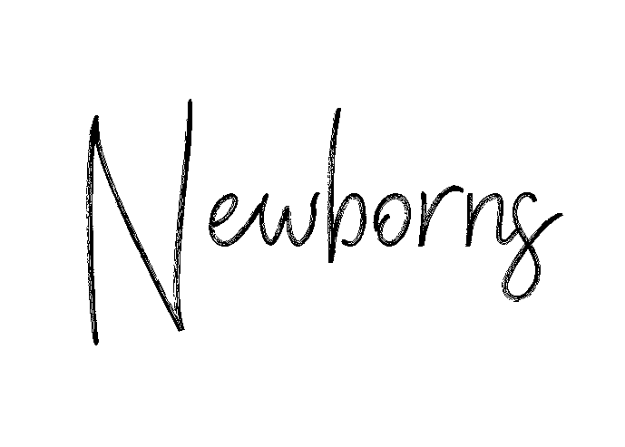 web4.png