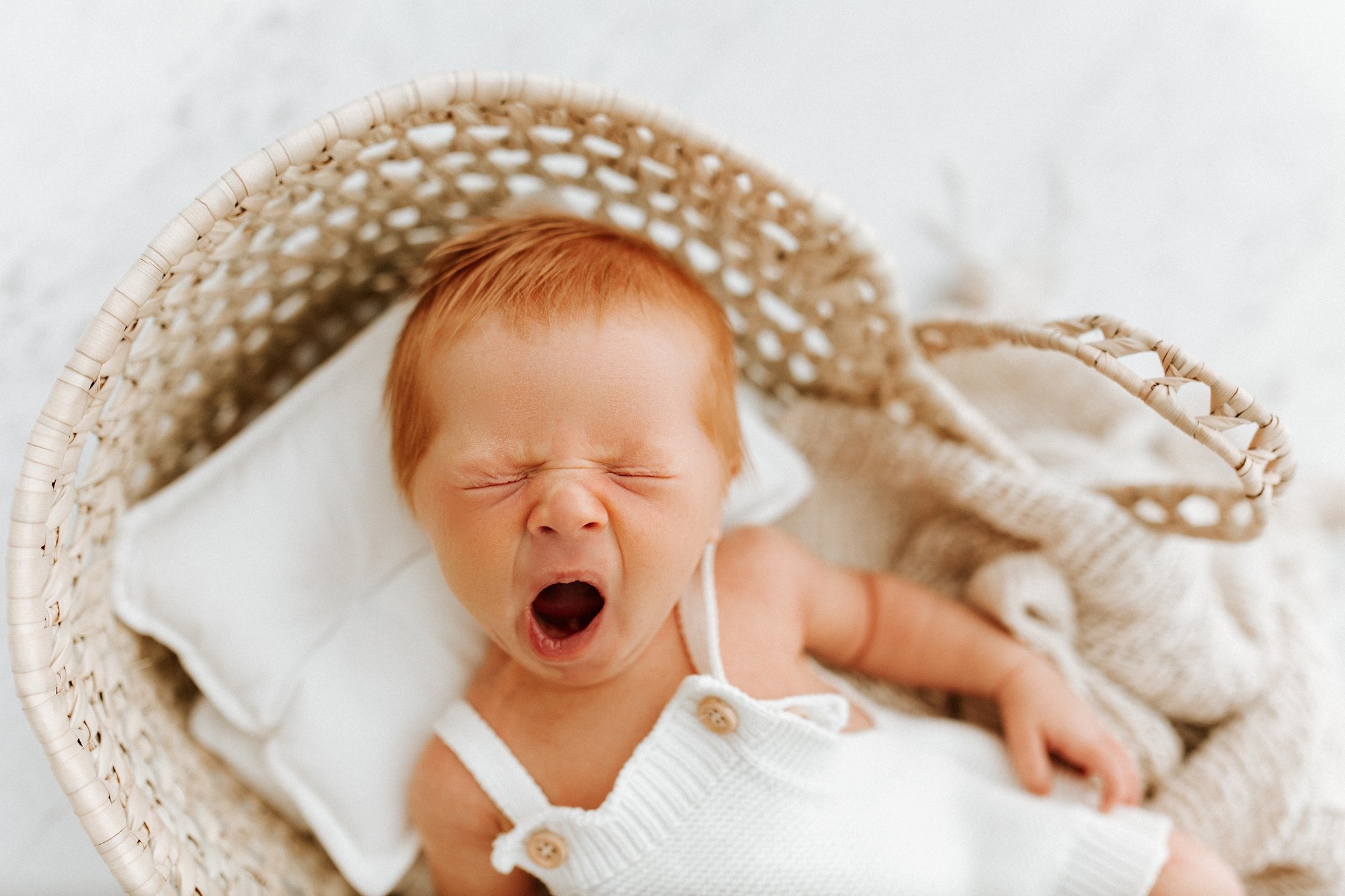 newborn photography near me Grand Rapids, newborn portrait studio West Michigan, best West Michigan newborn photographer