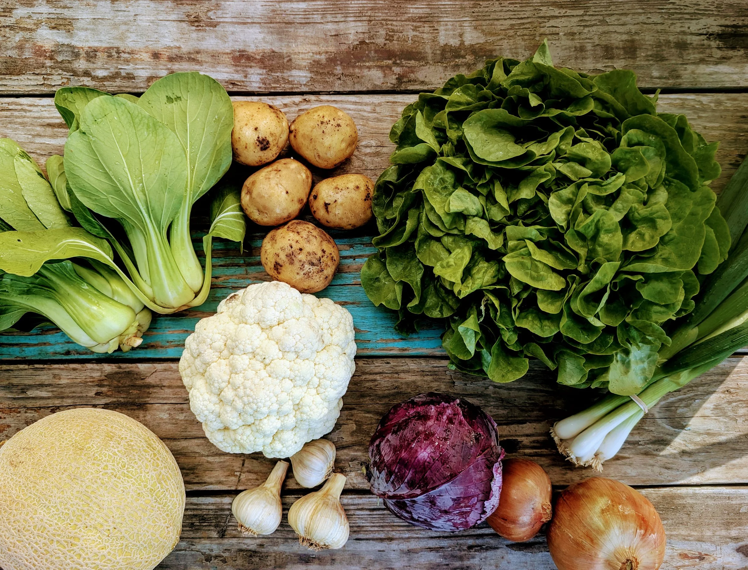 2026Harvest19.jpg