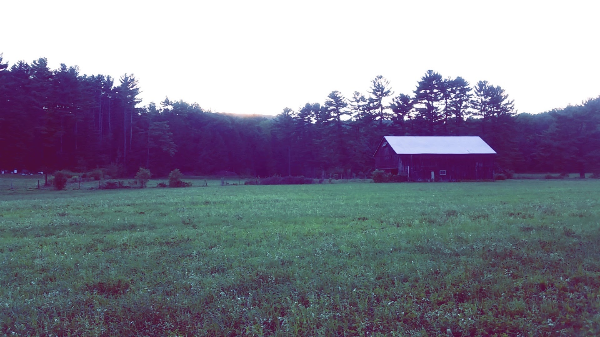 Bucolic Landscapes